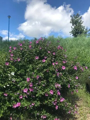 דירה Harmonia 60m2 *